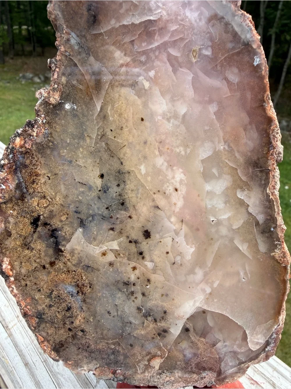 Large Natural Agate & Chalcedony Display Specimen | Wood Stand